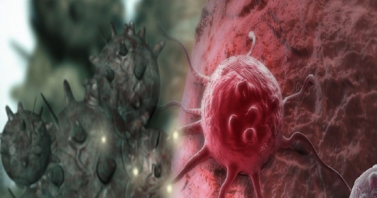 Good Information! Now most cancers may also be eradicated from the basis; Vaccine will come earlier than 2030