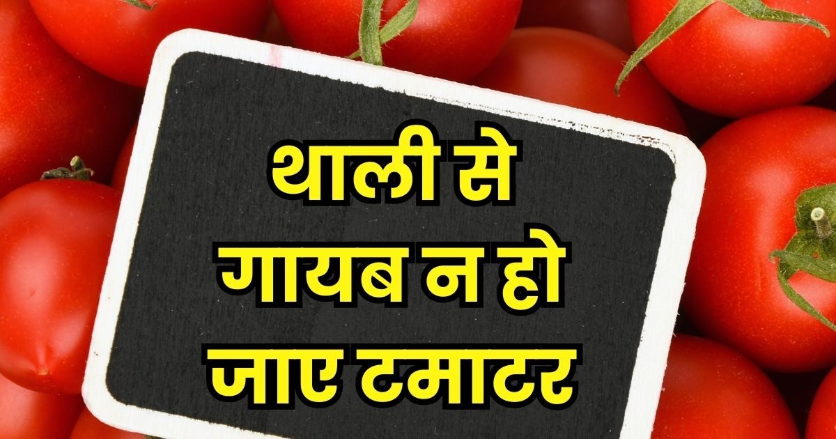 Tomato Price