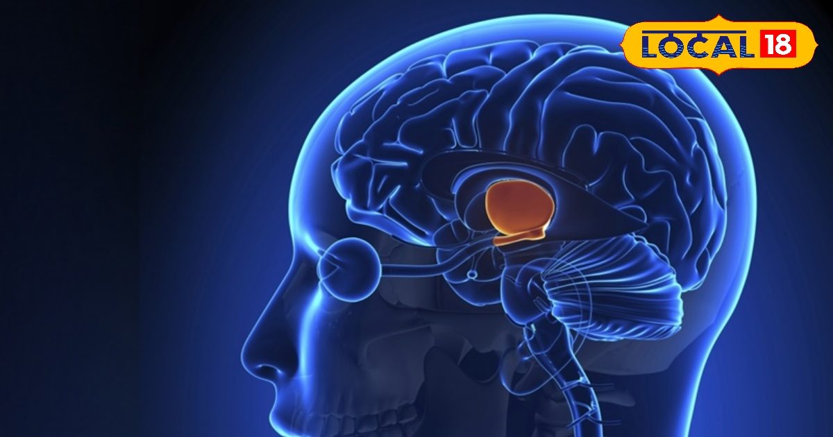 सेहत – हेल्थ टिप्स : युवा क्यों हो रहे हैं ब्रेन स्ट्रोक का शिकार? इससे बचने का उपाय क्या है? डॉक्टर से जानिए सब सेहत – हेल्थ टिप्स : युवा क्यों हो रहे हैं ब्रेन स्ट्रोक का शिकार? इससे बचने का उपाय क्या है? डॉक्टर से जानिए सब