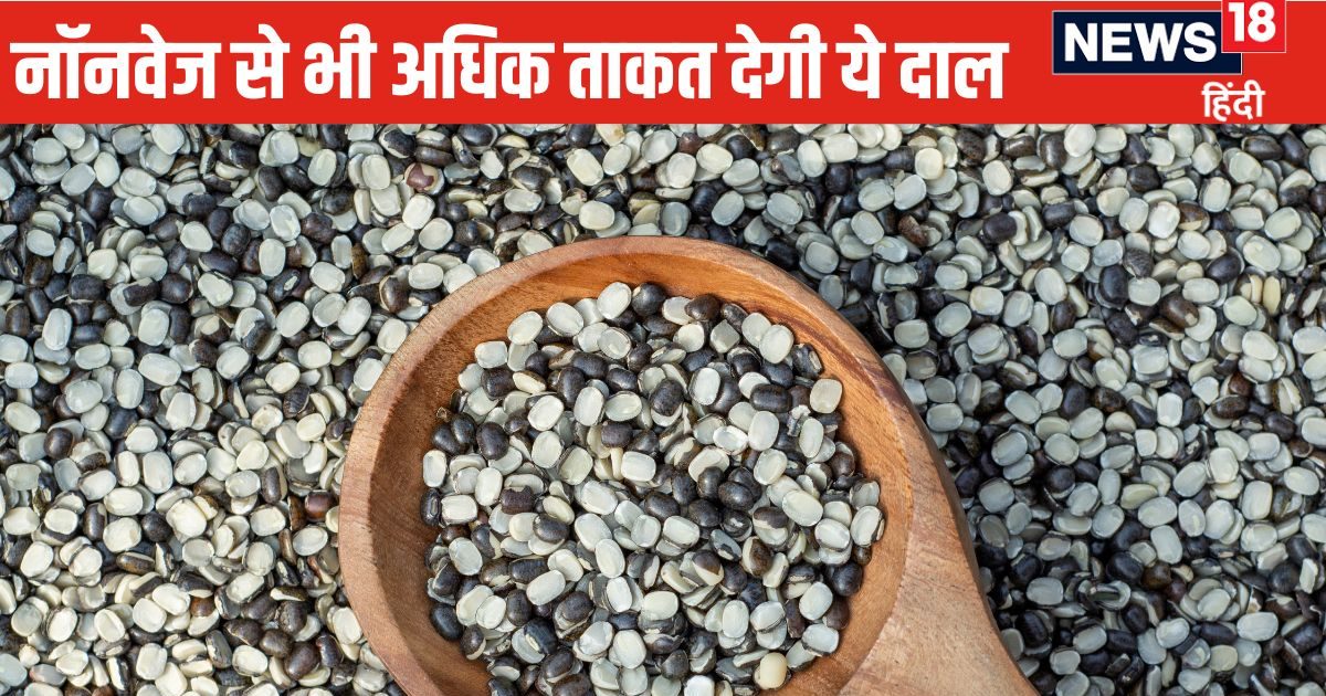 सेहत – शरीर को नॉनवेज से भी अधिक ताकत मिलती है ये दाल, आहार से पाचन तंत्र हो मजबूत, वजन घटाए, ब्लड शुगर भी रखें कंट्रोल सेहत – शरीर को नॉनवेज से भी अधिक ताकत मिलती है ये दाल, आहार से पाचन तंत्र हो मजबूत, वजन घटाए, ब्लड शुगर भी रखें कंट्रोल