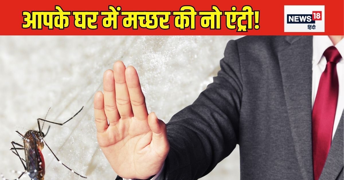 Tach – घर में लगाएं बस 300 रुपये का गैजेट, आपसे दूर ही रहेंगे डेंगू-मलेरिया के मच्छर, बीमारी से भी बचाव Tach – घर में लगाएं बस 300 रुपये का गैजेट, आपसे दूर ही रहेंगे डेंगू-मलेरिया के मच्छर, बीमारी से भी बचाव