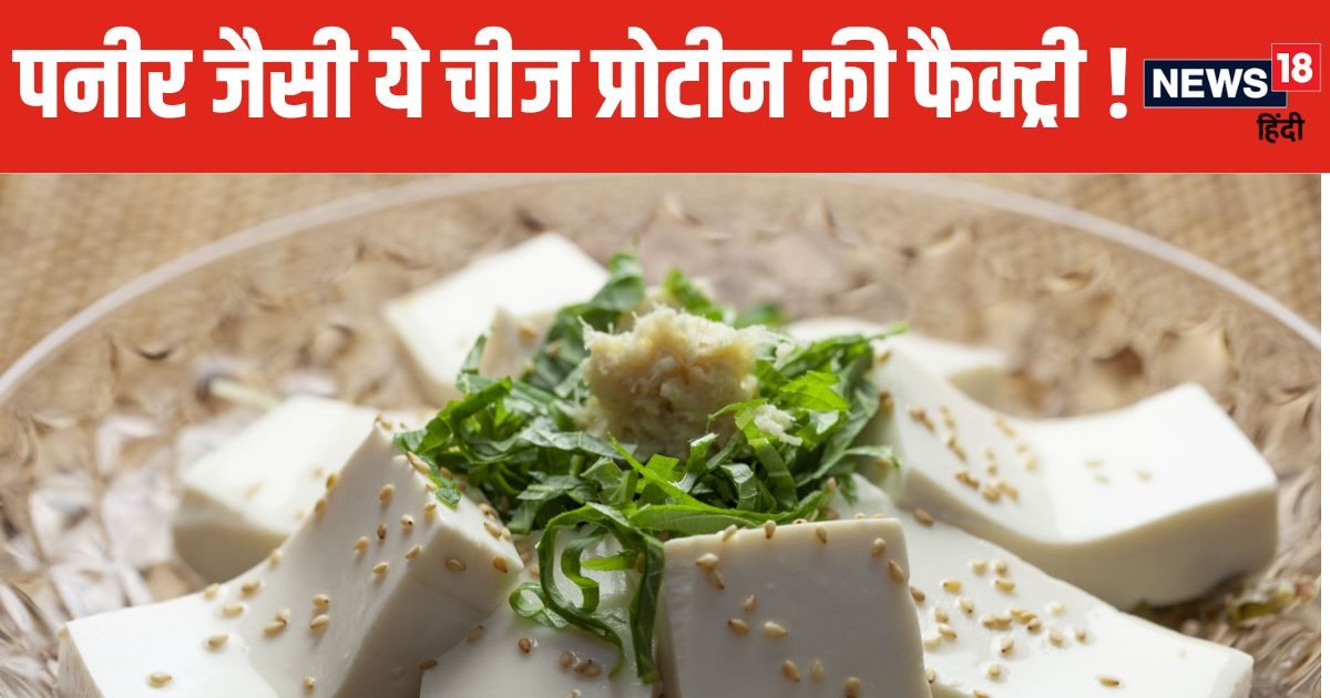 सेहत – पेड़-पौधों से बनी यह चीज़ प्रोटीन का खजाना! इसमें कूट-कूटकर पोषक तत्व तत्व, पत्थरों को बनाया गया देवी फूलाद सेहत – पेड़-पौधों से बनी यह चीज़ प्रोटीन का खजाना! इसमें कूट-कूटकर पोषक तत्व तत्व, पत्थरों को बनाया गया देवी फूलाद