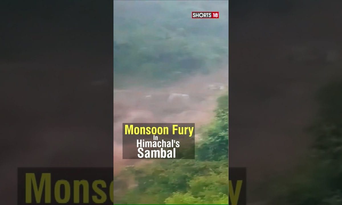 Sambal Flood News Himachal Pradesh Flood Video Heavy Rains Cause