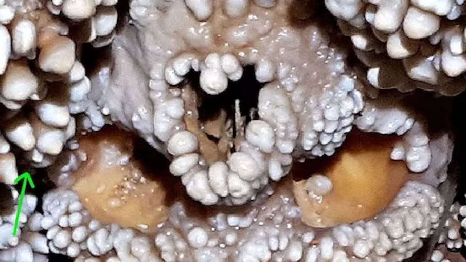 The Astonishing Discovery Of The Altamura Man Unveiling Ancient