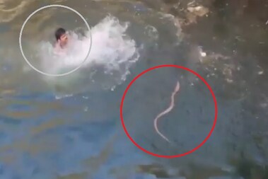 Shocking Video: పామును కాపాడేందుకు బావిలో దూకిన యువకుడు.. చివరికి