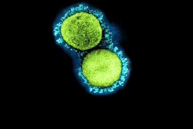 Covid-19 among children: చిన్నారులపై సెకండ్ వేవ్ ఎక్కువ ప్రభావం చూపిస్తోందా? వైద్యులు ఏం చెబుతున్నారు?