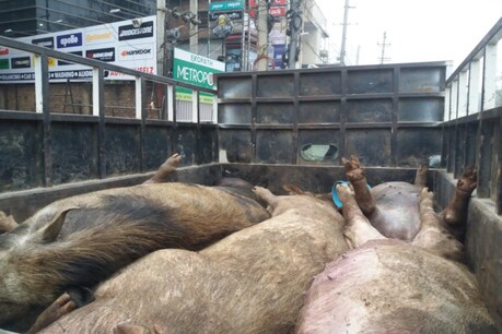 গুৱাহাটীৰ হোটেল–ৰেষ্টুৰেণ্টত বেমাৰী, মৃত গাহৰিৰ মাংসৰে তৈয়াৰ কৰা হৈছে নেকি সুস্বাদু ব্যঞ্জন ? গুৱাহাটীৰ হোটেল–ৰেষ্টুৰেণ্টত বেমাৰী, মৃত গাহৰিৰ মাংসৰে তৈয়াৰ কৰা হৈছে নেকি সুস্বাদু ব্যঞ্জন ?