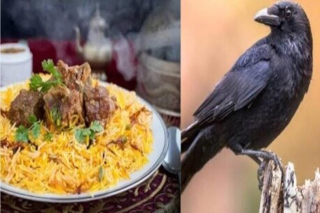 সঁচা হ’ল ৰীল লাইফৰ ঘটনা! চিকেনৰ নামত গ্ৰাহকক কাউৰীৰ মাংস, দুজন পৰিল জালত সঁচা হ’ল ৰীল লাইফৰ ঘটনা! চিকেনৰ নামত গ্ৰাহকক কাউৰীৰ মাংস, দুজন পৰিল জালত