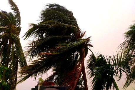 মাছ মাৰিবলৈ যোৱাৰ সময়তে আহিল কাল ধুমুহা, চকুৰ সন্মুখতে ব্ৰহ্মপুত্ৰত ডুবি মৃত্যু পিতৃৰ মাছ মাৰিবলৈ যোৱাৰ সময়তে আহিল কাল ধুমুহা, চকুৰ সন্মুখতে ব্ৰহ্মপুত্ৰত ডুবি মৃত্যু পিতৃৰ