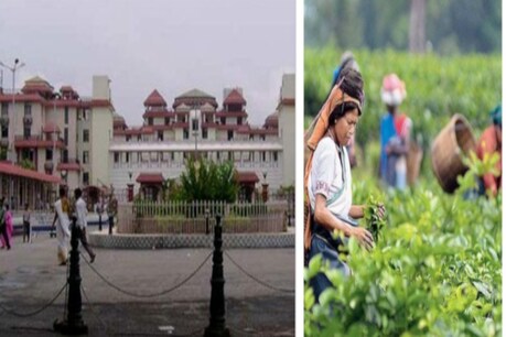 কেতিয়াৰ পৰা খুলিব চৰকাৰী কাৰ্যালয়? লগতে আৰু বহু গুৰুত্বপূৰ্ণ খবৰ কেতিয়াৰ পৰা খুলিব চৰকাৰী কাৰ্যালয়? লগতে আৰু বহু গুৰুত্বপূৰ্ণ খবৰ