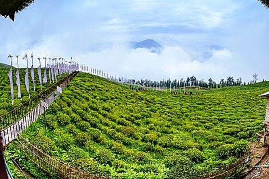ইয়াৰ পিছতে আৰম্ভ হয় ৰাজ্যৰ মানুহৰ ট্ৰেভেল হিষ্ট্ৰীৰ ওপৰত নজৰ। অকণমান সন্দেহ হ’লেই ব্যক্তিক চৰকাৰী কোৱাৰানটাইন বা ছেল্ফ আইছ’লেশ্যনত ৰাখিবলৈ লোৱা হয়। ইয়াৰ পিছতে আৰম্ভ হয় ৰাজ্যৰ মানুহৰ ট্ৰেভেল হিষ্ট্ৰীৰ ওপৰত নজৰ। অকণমান সন্দেহ হ’লেই ব্যক্তিক চৰকাৰী কোৱাৰানটাইন বা ছেল্ফ আইছ’লেশ্যনত ৰাখিবলৈ লোৱা হয়।