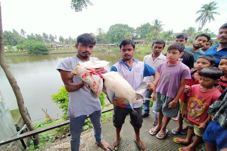 হাজোৰ বিষ্ণুপুষ্কৰত পুনৰ মাছৰ অস্বাভাৱিক মৃত্যু হাজোৰ বিষ্ণুপুষ্কৰত পুনৰ মাছৰ অস্বাভাৱিক মৃত্যু