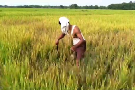 অইল ইণ্ডিয়া লিমিটেডৰ কাণ্ডজ্ঞানহীনতাৰ বাবে শংকিত নুমলীগড়ৰ জনসাধাৰণ! অইল ইণ্ডিয়া লিমিটেডৰ কাণ্ডজ্ঞানহীনতাৰ বাবে শংকিত নুমলীগড়ৰ জনসাধাৰণ!