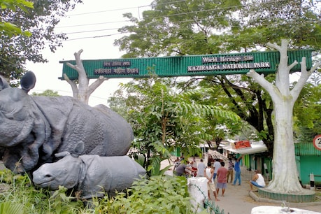 বুধবাৰে পৰ্যটকৰ বাবে মুকলি হ’ব কাজিৰঙা ৰাষ্ট্রীয় উদ্যান বুধবাৰে পৰ্যটকৰ বাবে মুকলি হ’ব কাজিৰঙা ৰাষ্ট্রীয় উদ্যান
