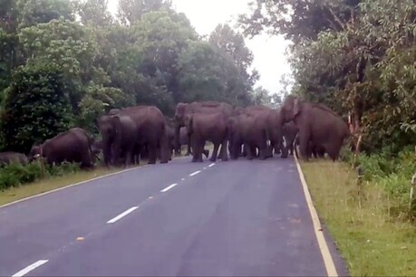নামেৰী ৰাষ্ট্ৰীয় উদ্যানৰ সমীপত বনৰীয়া হাতীয়ে অৱৰোধ কৰিলে চাৰিদুৱাৰ-ভালুকপুং সংযোগী পথ নামেৰী ৰাষ্ট্ৰীয় উদ্যানৰ সমীপত বনৰীয়া হাতীয়ে অৱৰোধ কৰিলে চাৰিদুৱাৰ-ভালুকপুং সংযোগী পথ