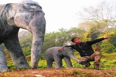 অসমৰ দুলু বৰাৰ পদক্ষেপক প্ৰশংসা বিশ্বৰ প্ৰকৃতিপ্ৰেমীৰ, হাতী-মানুহৰ সংঘাত নিৰাময়ৰ বাবে কৰিছে এই কাম অসমৰ দুলু বৰাৰ পদক্ষেপক প্ৰশংসা বিশ্বৰ প্ৰকৃতিপ্ৰেমীৰ, হাতী-মানুহৰ সংঘাত নিৰাময়ৰ বাবে কৰিছে এই কাম
