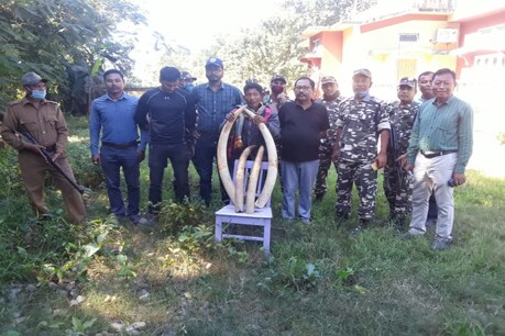 চিৰাং বন সংমণ্ডলত ৱাইল্ড লাইফ কণ্ট্ৰ’ল ব্যুৰ’ৰ তীব্ৰতৰ অভিযান, তিনিজনক গ্ৰেপ্তাৰ, ১৬.৮৫ কেজিৰ হাতীৰ দাঁত জব্দ চিৰাং বন সংমণ্ডলত ৱাইল্ড লাইফ কণ্ট্ৰ’ল ব্যুৰ’ৰ তীব্ৰতৰ অভিযান, তিনিজনক গ্ৰেপ্তাৰ, ১৬.৮৫ কেজিৰ হাতীৰ দাঁত জব্দ