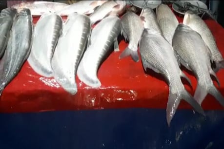 ব্ৰহ্মপুত্ৰৰ পাৰত মাজনিশা মাছ বিচাৰি ৰাইজৰ ভিৰ, মাঘ বিহুৰ উৰুকাৰ আগদিনা উৰেনিশা চলে এইখন মাছৰ বজাৰ ব্ৰহ্মপুত্ৰৰ পাৰত মাজনিশা মাছ বিচাৰি ৰাইজৰ ভিৰ, মাঘ বিহুৰ উৰুকাৰ আগদিনা উৰেনিশা চলে এইখন মাছৰ বজাৰ