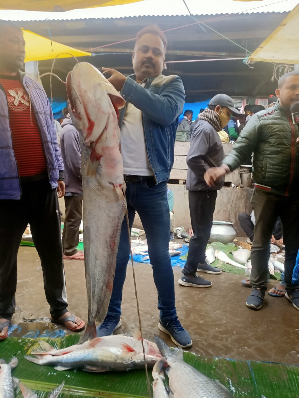এনেদৰেই পুৱাই বজাৰলৈ অহা এটা প্ৰকাণ্ড মাছে বিশ্বনাথ চাৰিআলি দৈনিক বজাৰলৈ অহা প্ৰতিজন লোকৰ দৃষ্টি আকৰ্ষণ কৰিলে ৷ আনহাতে কেৱল বৰালিয়েই নহয় বজাৰ উভৈনদী হৈ পৰিছে চিতল, আৰি , ভকুৱা ৰৌ আদি মাছৰে ৷ ১২ কেজিৰ চিতল আৰু ১৫ কেজি ওজনৰ বাহু মাছ কিনিবলৈও হেতা ওপৰা কৰে গ্ৰাহক সকলে ৷ এনেদৰেই পুৱাই বজাৰলৈ অহা এটা প্ৰকাণ্ড মাছে বিশ্বনাথ চাৰিআলি দৈনিক বজাৰলৈ অহা প্ৰতিজন লোকৰ দৃষ্টি আকৰ্ষণ কৰিলে ৷ আনহাতে কেৱল বৰালিয়েই নহয় বজাৰ উভৈনদী হৈ পৰিছে চিতল, আৰি , ভকুৱা ৰৌ আদি মাছৰে ৷ ১২ কেজিৰ চিতল আৰু ১৫ কেজি ওজনৰ বাহু মাছ কিনিবলৈও হেতা ওপৰা কৰে গ্ৰাহক সকলে ৷