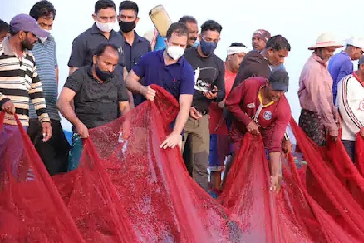 নাওখনত ২৩জন মাছমৰীয়া আছিল। ৰাহুল গান্ধীৰ সৈতে অখিল ভাৰতীয় কংগ্ৰেছ সমিতিৰ মহাসচিব কে চি বেণুগোপাল আৰু টি এন প্ৰতাপন সহ পাৰ্টীৰ চাৰিজন নেতা আছিল। মাছমৰীয়া সকলে ৰাহুলক তাতে ধৰা মাছ আৰু ব্ৰেড মাছ খোৱায়। (Pic- ANI) নাওখনত ২৩জন মাছমৰীয়া আছিল। ৰাহুল গান্ধীৰ সৈতে অখিল ভাৰতীয় কংগ্ৰেছ সমিতিৰ মহাসচিব কে চি বেণুগোপাল আৰু টি এন প্ৰতাপন সহ পাৰ্টীৰ চাৰিজন নেতা আছিল। মাছমৰীয়া সকলে ৰাহুলক তাতে ধৰা মাছ আৰু ব্ৰেড মাছ খোৱায়। (Pic- ANI)