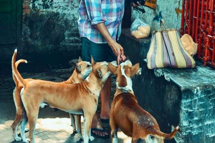 জানিব পৰা মতে কমেও ৩০টা পদপথৰ কুকুৰক ধৰ্ষণ কৰিছে ৬০বছৰৰ এই বৃদ্ধই। বৃদ্ধৰ নাম আহমেদ শাহী। প্রতীকী চিত্র ৷ জানিব পৰা মতে কমেও ৩০টা পদপথৰ কুকুৰক ধৰ্ষণ কৰিছে ৬০বছৰৰ এই বৃদ্ধই। বৃদ্ধৰ নাম আহমেদ শাহী। প্রতীকী চিত্র ৷