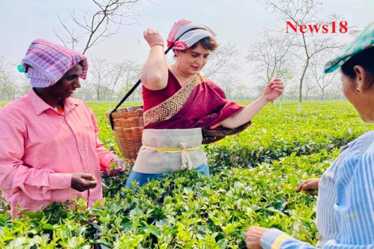 লখিমপুৰত কেইবাটাও দলীয় কাৰ্যসূচীত অংশগ্ৰহণ কৰে নেত্ৰীগৰাকীয়ে। লখিমপুৰৰ পৰা প্ৰিয়ংকা গান্ধী উপস্থিত হয় গহপুৰত। লখিমপুৰত কেইবাটাও দলীয় কাৰ্যসূচীত অংশগ্ৰহণ কৰে নেত্ৰীগৰাকীয়ে। লখিমপুৰৰ পৰা প্ৰিয়ংকা গান্ধী উপস্থিত হয় গহপুৰত।