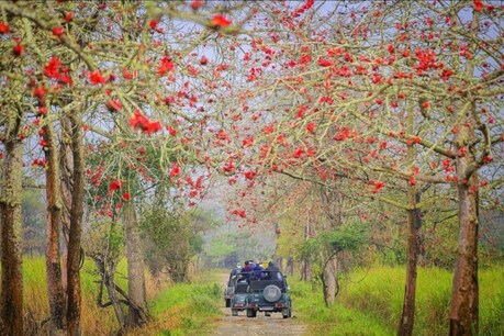 দেশত কোৰোণাৰ দ্বিতীয় ঢৌ, আকৌ বিধ্বস্ত হ’ব নেকি কাজিৰঙাৰ পৰ্যটন উদ্যোগ!
