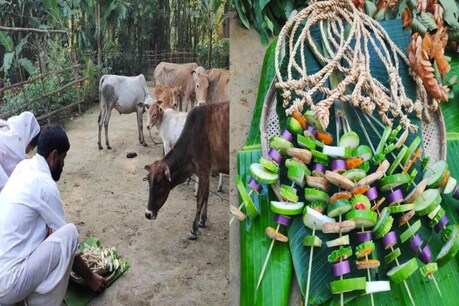 আজি গৰু বিহুঃ গো-ধনক নোৱাই-ধুৱাই শ্ৰীবৃদ্ধিৰ কামনা ৰাজ্যবাসীৰ, বিভিন্ন প্ৰান্তত উখল মাখল পৰিৱেশ