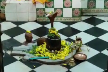 অলৌকিক! বিভিন্ন সময়ত এটা শিৱলিঙ্গৰ পৰা বিভিন্ন সুবাস আহে, কি এই ৰহস্য? অলৌকিক! বিভিন্ন সময়ত এটা শিৱলিঙ্গৰ পৰা বিভিন্ন সুবাস আহে, কি এই ৰহস্য?