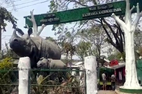 কোভিডৰ ফলত পৰ্যটকৰ বাবে বন্ধ হ’ল কাজিৰঙা ৰাষ্ট্ৰীয় উদ্যান কোভিডৰ ফলত পৰ্যটকৰ বাবে বন্ধ হ’ল কাজিৰঙা ৰাষ্ট্ৰীয় উদ্যান
