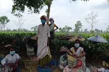 News18ৰ বাতৰিৰ পিছতে তৎপৰ চৰকাৰ! চাহ বাগিচা অঞ্চলৰ কোভিড পৰিস্থিতি নিয়ন্ত্ৰণৰ বাবে ক্ষিপ্ৰ পদক্ষেপ গ্ৰহণ