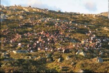 বজ্ৰপাত পৰি একেলগে ক'ত মৃত্যু হৈছিল তিনি শতাধিক হৰিণৰ?