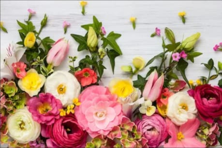 Flowers Use As Medicines: এই ৭ বিধ ফুলেৰেই কৰিব পাৰি বহু ৰোগৰ চিকিৎসা! কি ফুল কেনেদৰে ব্যৱহাৰ হ'ব জানি লওক Flowers Use As Medicines: এই ৭ বিধ ফুলেৰেই কৰিব পাৰি বহু ৰোগৰ চিকিৎসা! কি ফুল কেনেদৰে ব্যৱহাৰ হ'ব জানি লওক
