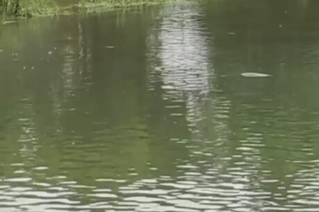 যোৰহাটৰ ভোগদৈ নদীৰ পানীত হৈছে ভয়ংকৰ পৰিৱৰ্তন, বোৱঁতী নদীৰ পানী হৈছে আম্লিক, এচিডৰ পৰিমাণো বৃদ্ধি যোৰহাটৰ ভোগদৈ নদীৰ পানীত হৈছে ভয়ংকৰ পৰিৱৰ্তন, বোৱঁতী নদীৰ পানী হৈছে আম্লিক, এচিডৰ পৰিমাণো বৃদ্ধি
