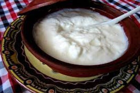 Curd Side Effects: দৈ বৰ উপকাৰী, কিন্তু সকলোৱে দৈ খাব নালাগে ! বিশেষকৈ এই সমস্যা থকা লোকসকলে খাব নালাগে দৈ, হ'ব পাৰে লোকচান...