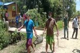 বাক্সাৰ গোৰেশ্বৰত আফ্ৰিকান শ্বোৱাইন ফ্লুৰ প্ৰভাৱ