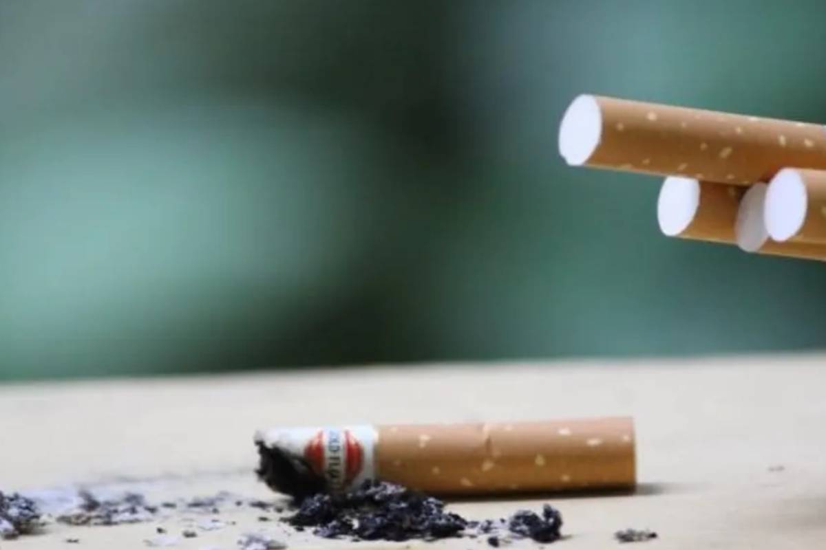  উদাহৰণ কিন্তু আপুনি তৈয়াৰ কৰিব লাগিব। আপুনি নিজেই ধূমপান কৰি সন্তানক নিষেধ কৰিছে, সেয়া যেন নহয়। ধূমপানৰ অভ্যাস থাকিলে সেয়া ত্যাগ কৰি উদাহৰণ তৈয়াৰ কৰক সন্তানৰ সন্মুখত।