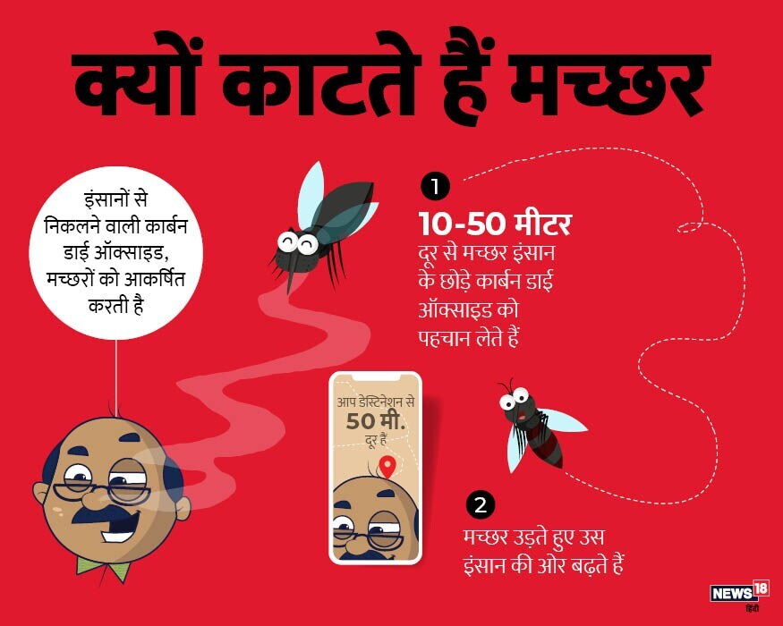  মানুহে এৰি দিয়া কাৰ্বন ডাই অক্সাইডৰ দ্বাৰা মহবোৰ প্ৰকৃততে তেওঁলোকৰ ওচৰলৈ যায়। ১০ ৰ পৰা ৫০ মিটাৰলৈ, তেওঁলোকে ইয়াক চিনাক্ত কৰে।