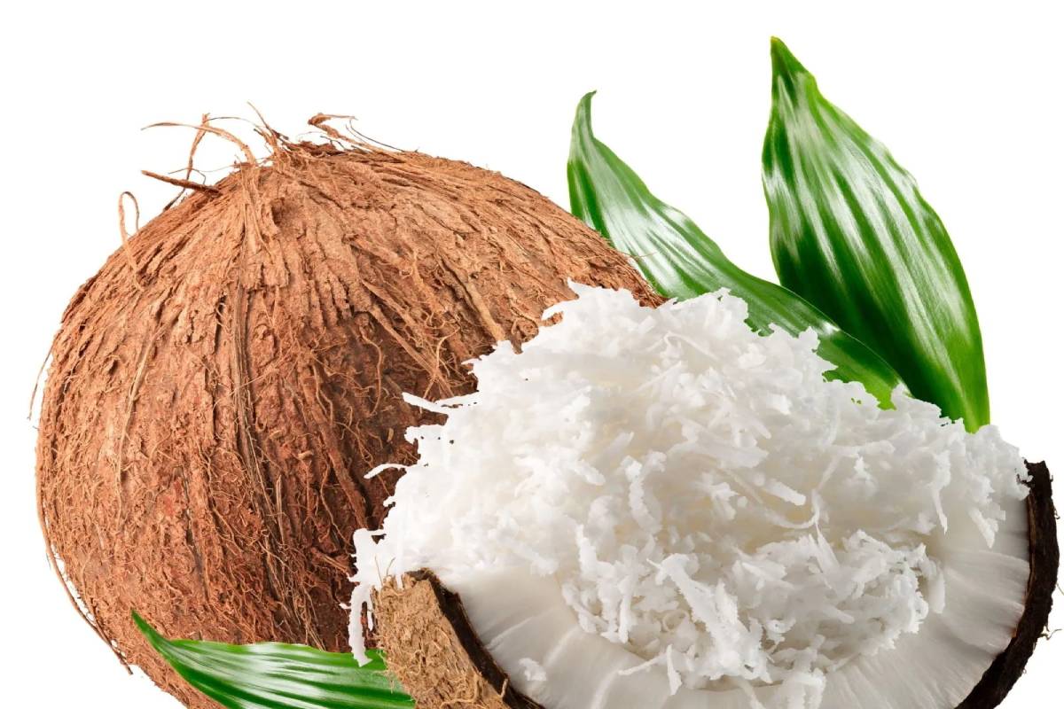  নাৰিকলৰ আমাৰ সকলোৰে প্ৰিয়। খাবলৈ সোৱাদযুক্ত হোৱাৰ লগতে নাৰিকলৰ পুষ্টিগত গুণো অনেক।