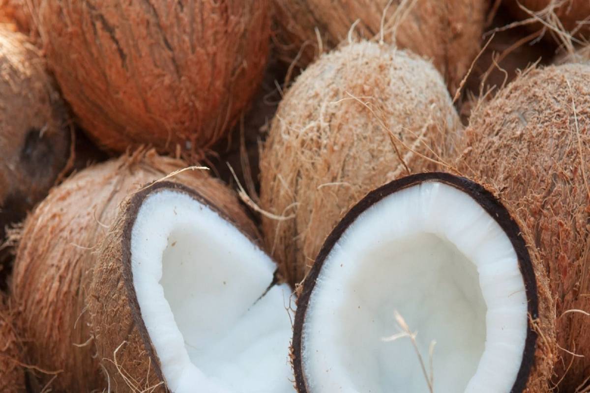  পুৱা উঠাৰ পিছত টোপনি ভাৱ দূৰ কৰিবলৈ নাৰিকলৰ পানী কাৰ্যকৰী। নাৰিকলৰ পানীৰ ইলেকট্ৰ’লাইট আৰু এণ্টিঅক্সিডেণ্ট শৰীৰৰ বাবে উপকাৰী।