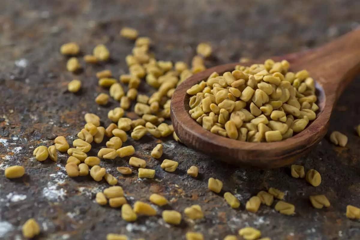  ফাইবাৰসমৃদ্ধ মেথি ডায়েবেটিছৰ বাবে উপকাৰী। তাৰ উপৰি হজম প্ৰক্ৰিয়া নিয়ন্ত্ৰণতো সহায় কৰে মেথিয়ে।