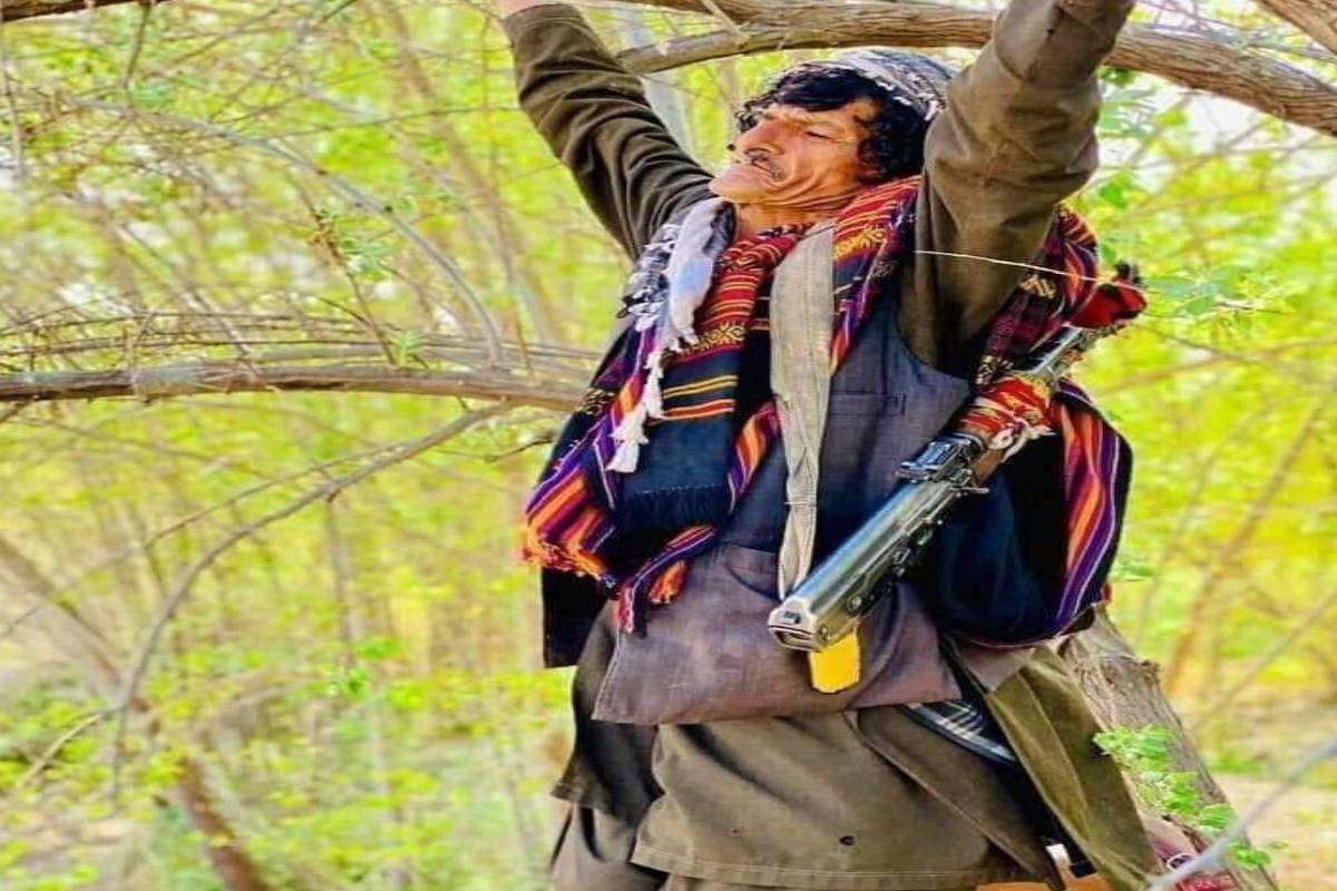  অপহৰণ কৰি নি তালিবানীয়ে নজৰক এজোপা গছত দুহাত বান্ধি ওলোমাই ৰখা বুলি জানিব পৰা গৈছিল আৰু কিছুসময় পিছত নজৰৰ নিথৰ দেহৰ ছবি প্ৰকাশ কৰিছিল তালিবানীয়ে। গছত বান্ধি তালিবানীয়ে নজৰৰ ডিঙি ৰেপী হত্যা কৰিছিল।