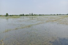 Farmers Plight : কৃষিমন্ত্ৰীৰ সমষ্টিত কৃষকৰ দুৰৱস্থা, ভদীয়া বানে তচনচ কৰিলে কৃষকৰ কষ্টৰ ফচল
