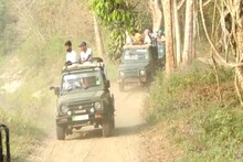 পৰ্যটকৰ সোঁত বৈছে কাজিৰঙালৈ, এক পষেকতে দহ হাজাৰৰ অধিক পৰ্যটকৰ কাজিৰঙা দৰ্শন