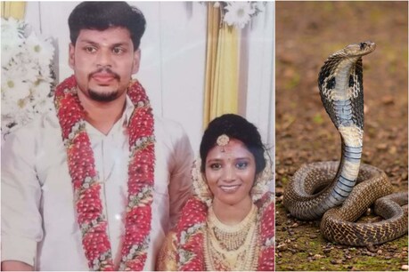Snakebite Murder: বিছনাত সাপ এৰি দি পত্নীক হত্যা, কেৰালাৰ ধূৰ্ত স্বামীৰ কাণ্ড দেখি হতচকিত আদালত, দিলে বিৰল শাস্তি Snakebite Murder: বিছনাত সাপ এৰি দি পত্নীক হত্যা, কেৰালাৰ ধূৰ্ত স্বামীৰ কাণ্ড দেখি হতচকিত আদালত, দিলে বিৰল শাস্তি