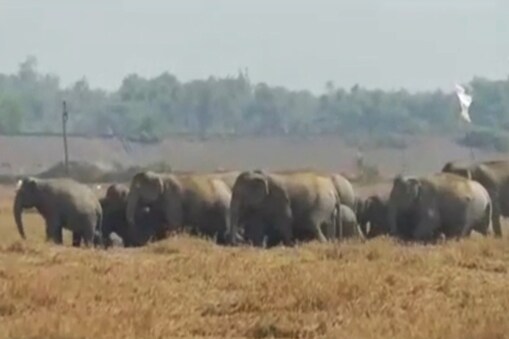 লক্ষ্মী পূজাত এমুঠি ধানৰ বাবে হাহাকাৰ দুধনৈৰ এখন গাঁৱৰ ৰাইজৰ ৷ বিঘাই বিঘাই বিনষ্ট পকা ধান ৷ পথাৰত ধান বুলিবলৈ একোয়ে নাই , আছে মাথোঁ নৰা কেইডালহে ৷
