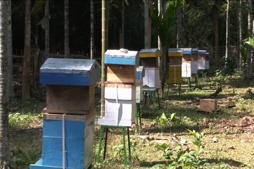 হাতী-মানুহৰ সংঘাত স্থায়ী ভাৱে নাইকিয়া হ’ব ! প্ৰথম বাৰৰ বাবে উত্তৰপূৱ ভাৰতত “ৰি-হেভ“ৰ  অভিলাসী আচঁনিৰ শুভ উদ্বোধন৷ হাতী-মানুহৰ সংঘাত প্ৰতিৰোধৰ বাবে খাদী গ্ৰামোদ্যোগ আয়োগৰ অভিলাসী আচঁনি ৷গোৱালপাৰাত মৌ মাখিয়ে খেদিব বনৰীয়া হাতী ! ৰক্ষা কৰিব ৰাইজক !