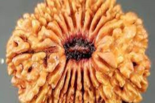 21 Mukhi Rudraksha: ২১ মুখী ৰুদ্ৰাক্ষ হৈছে আটাইতকৈ শক্তিশালী মণিবোৰৰ ভিতৰত এটা যাৰ এটা নিৰ্দিষ্ট উদ্দেশ্য আছে। সেয়েহে এজন জ্যোতিষীৰ পৰামৰ্শ নোলোৱাকৈ ইয়াক পিন্ধিব নালাগে।