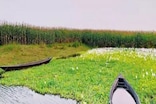 দিপৰ বিলৰ বুকুত কৰিব পাৰিব নৌকা বিহাৰ, নৈশ যাপন...