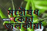 মহৌষধ কেঁচা জলকীয়া! হ্ৰাস কৰে ওজন, ডায়েবেটিচ থাকে নিয়ন্ত্ৰণত!